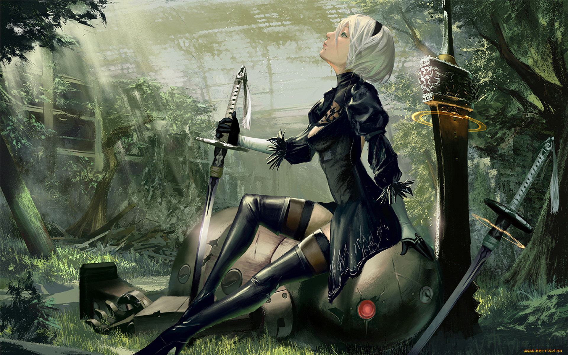  , nier,  automata, automata